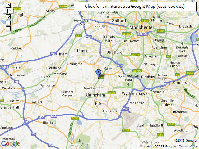 Google Map Image